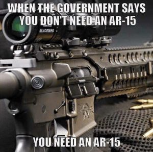 When the government says you don’t need an AR-15... you need an AR-15. 